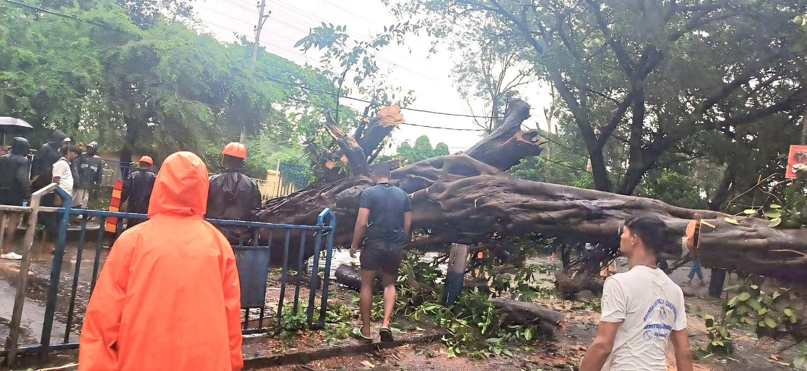 आसनसोल के संत मेरी गोरेटी स्कूल एवं लारेटै स्कूल के बीच मे जीटी रोड पर गिरा पेड़, आवागमन ठप।
