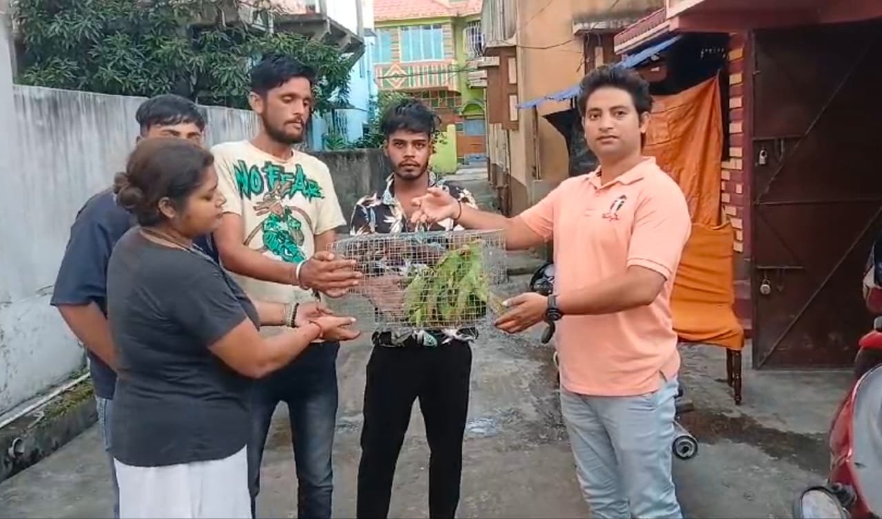 অবৈধভাবে পাখী বিক্রি করার সময় নটা পাখি উদ্ধার করে বন বিভাগের হাতে তুলে দিলেন পশু প্রেমী সংস্থা