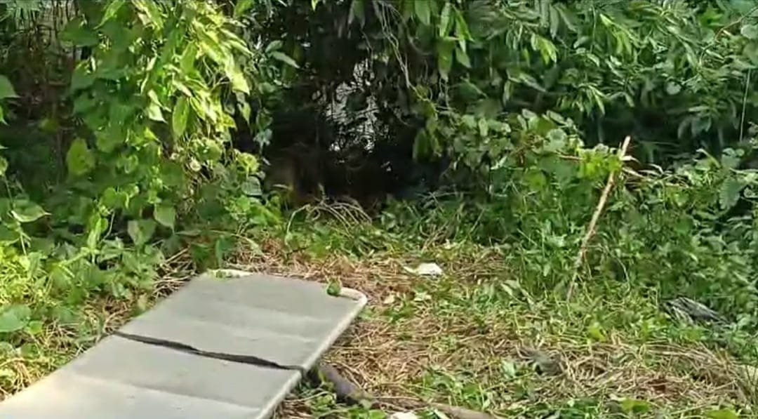 राष्ट्रीय राजमार्ग 19 पर नॉर्थबुक कोलियरी के पास एक नाले के बगल में जंगल में एक 45 वर्षीय अज्ञात व्यक्ति का शव मिला
