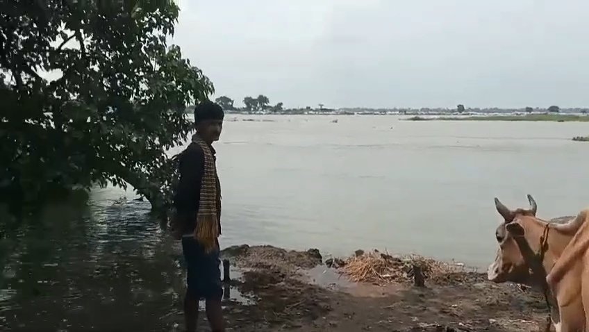 গত তিন দিনের ভারী বৃষ্টির জেরে পশ্চিমবঙ্গের নদীগুলিতে জলস্তর বেড়ে যাওয়ার ফলে সমস্যায় পড়েছেন বিভিন্ন নদ নদীর তীরে বসবাস করা মানুষেরা।