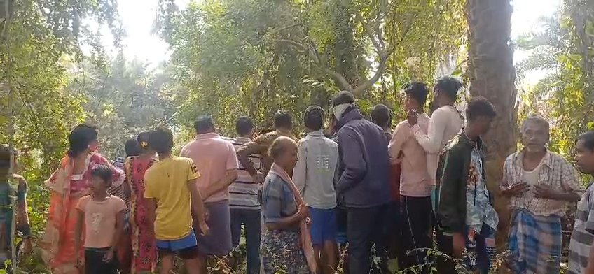 लावदोहा थाना क्षेत्र के गोगला में नरकंकाल मिलने से सनसनी फैल गई।