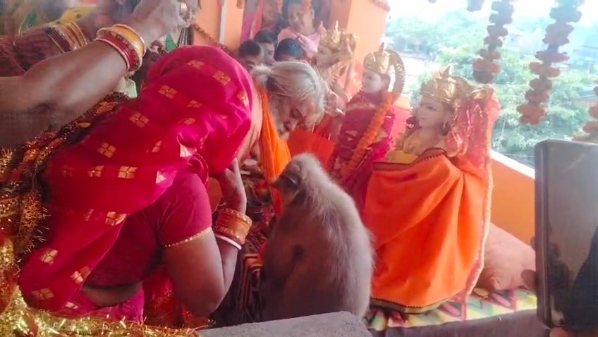 श्रद्धालुओं को आशीर्वाद देकर बजरंगबली वहां से चले गए सभी इस अलौकिक दृश्य को देखकर हतप्रभ रह गए