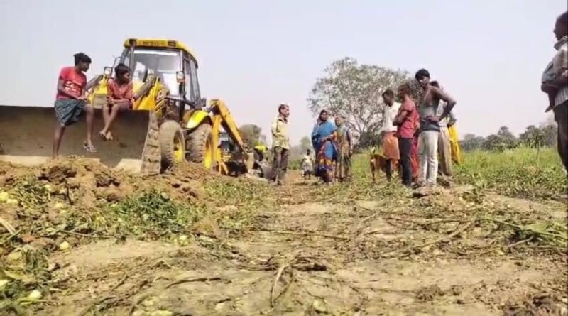 जमुरिया थाना अंतर्गत श्रीपुर पुलिस चौकी क्षेत्र के निघा इलाके के गुंजन पार्क में किसानों द्वारा खेती की गई थी कई एकड़ जमीन पर किसानों द्वारा विभिन्न सब्जियों लगाई गई थी जिन्हें आज बुलडोजर के जरिए नष्ट कर दिया