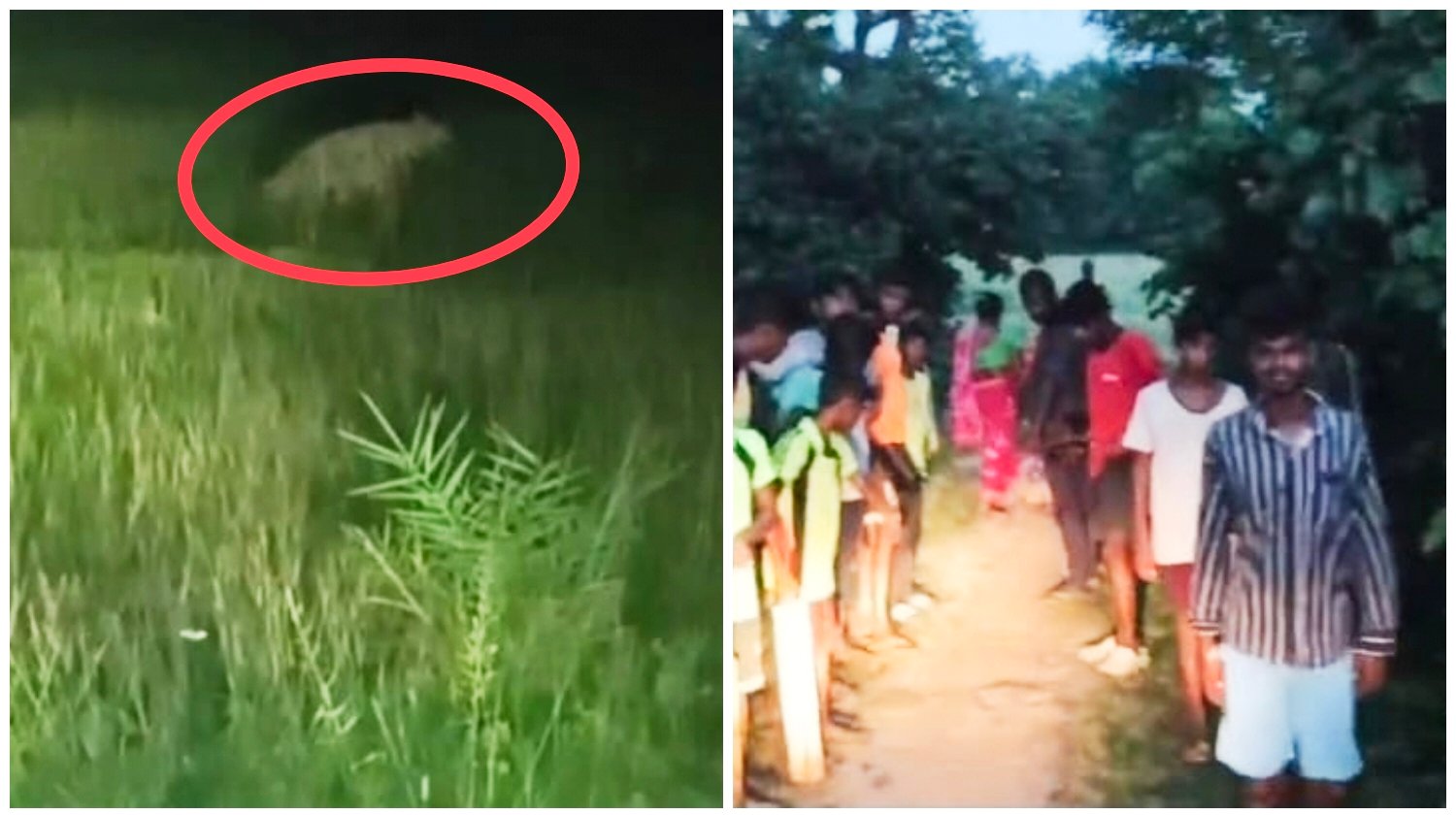 অজানা বন্য প্রাণীর আতঙ্ক সালানপুরের গ্রামে/ রাত পাহারার ব্যাবস্থা সালানপুর, ৩ সেপ্টেম্বরঃ