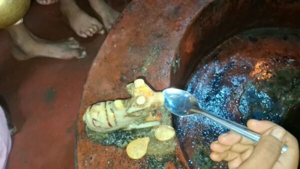 पांचगछिया नायाबस्ती में शिवलिंग और नंदी के पानी पीने का दावा, इलाके में चर्चा तेज